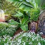 Chalet Casa Ideal Familias Com Vista Mar Desafogada Funchal (Madeira)