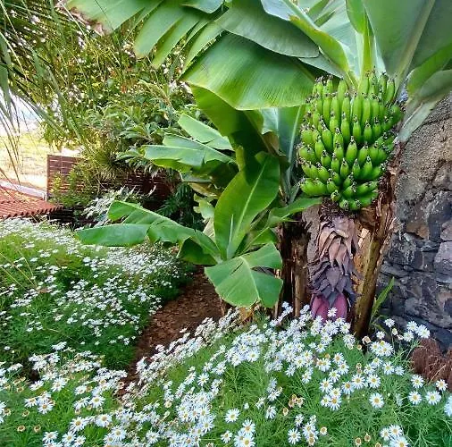 Chalet Casa Ideal Familias Com Vista Mar Desafogada Funchal (Madeira)