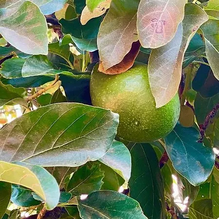 Σαλέ Casa Ideal Familias Com Vista Mar Desafogada Φουνκάλ