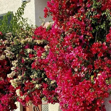 Casa Ideal Familias Com Vista Mar Desafogada * Funchal