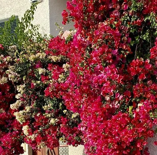 Casa Ideal Familias Com Vista Mar Desafogada * فونشال