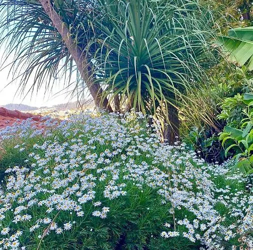 Casa Ideal Familias Com Vista Mar Desafogada * فونشال
