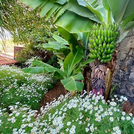 Chalet Casa Ideal Familias Com Vista Mar Desafogada Funchal (Madeira)