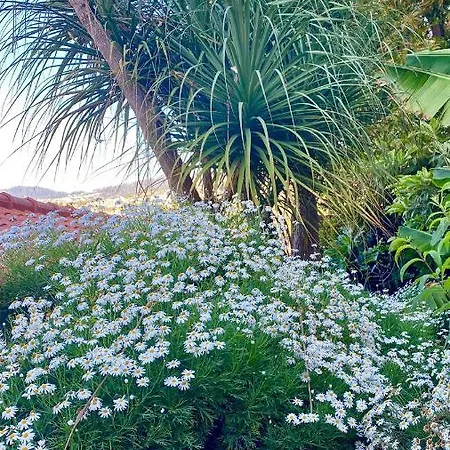Casa Ideal Familias Com Vista Mar Desafogada * Funchal (Madeira)